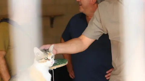 Nuevo centro de Protección Animal en Zamora_4