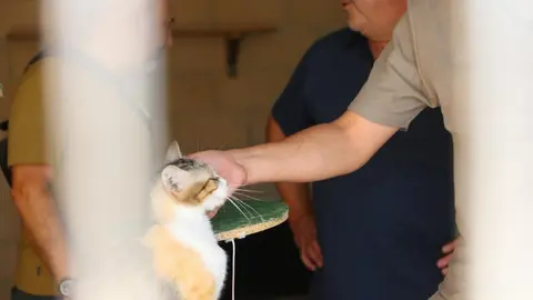 Nuevo centro de Protección Animal en Zamora_5
