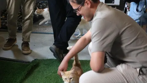 Nuevo centro de Protección Animal en Zamora_9