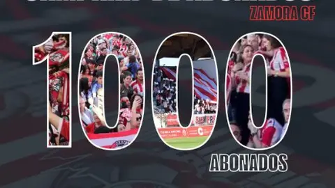 Zamora CF, abonados