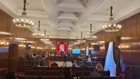 Pleno de la Diputación