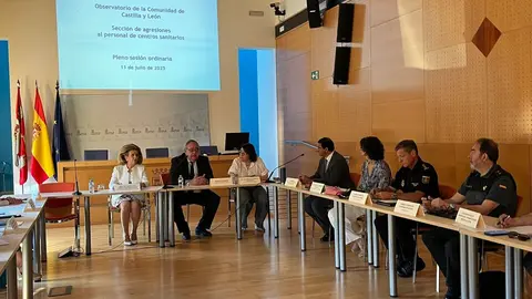 Sección de Agresiones al Personal de Centros Sanitarios