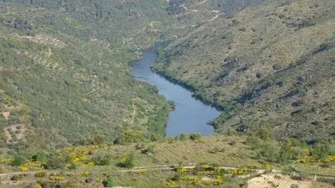 Villarino de los Aires, Parque Natural Arribes del Duero