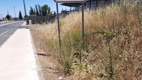 pueblos de Zamora se unen al luto por David Lafoz (14)