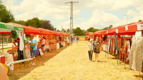 festival La Culebra No Se Calla en Otero de Bodas. IMAGEN CEDIDA (27)