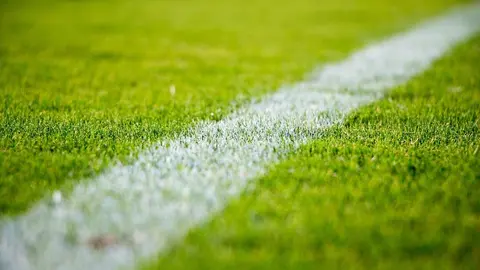 grass-2616911_1280