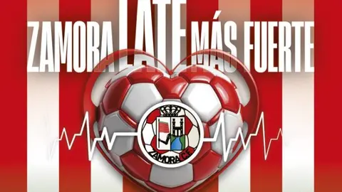 Campaña de abonados, Zamora CF