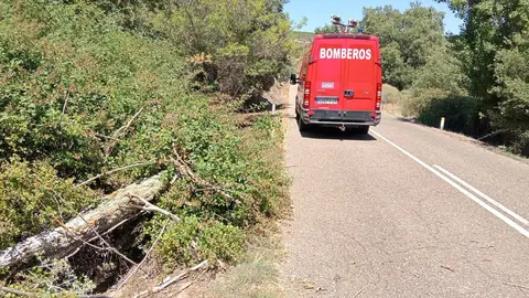 Intrvención de los Bomberos del Parque de Tierras de Aliste para retirer una rama que obstaculizaba el paso