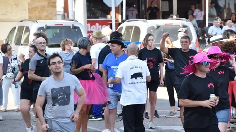 Fiestas de Moraleja del Vino desfile de pañas _31