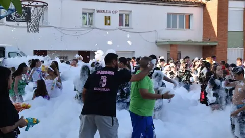 Fiestas de Moraleja del Vino desfile de pañas _59