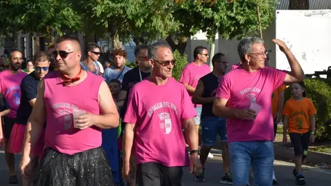Fiestas de Moraleja del Vino desfile de pañas _61