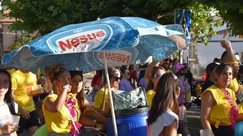 Fiestas de Moraleja del Vino desfile de pañas _79