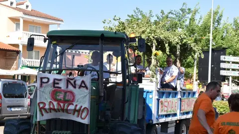 Fiestas de Moraleja del Vino desfile de pañas _86