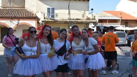 Fiestas de Moraleja del Vino desfile de pañas _87