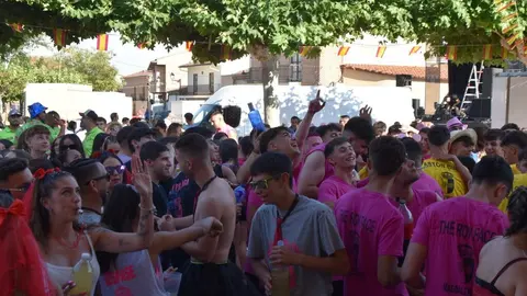 Fiestas de Moraleja del Vino desfile de pañas _98