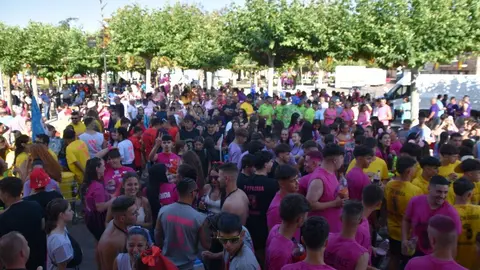 Fiestas de Moraleja del Vino desfile de pañas _100