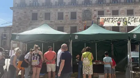 mercado ecológico Zamora_2