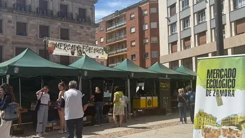 mercado ecológico Zamora_3