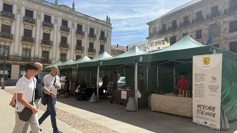 mercado ecológico Zamora_5