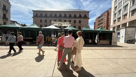 mercado ecológico Zamora_9