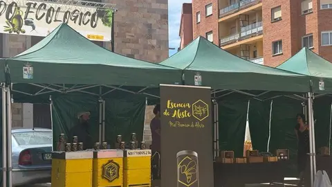 mercado ecológico Zamora_11