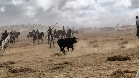 toro encierro moraleja