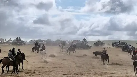 toros moraleja