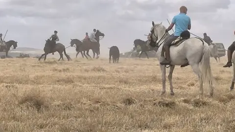 toro encierro Moraleja del Vino (4)