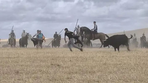 toro encierro Moraleja del Vino (9)