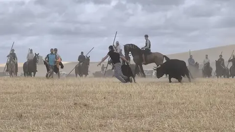 toro encierro Moraleja del Vino (10)