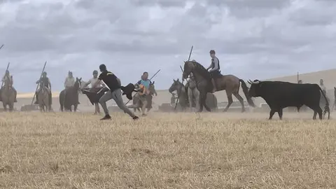 toro encierro Moraleja del Vino (11)