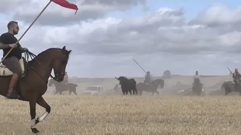 toro encierro Moraleja del Vino (12)