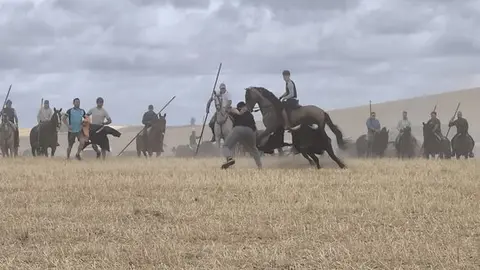 toro encierro Moraleja del Vino (13)