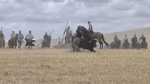 toro encierro Moraleja del Vino (14)