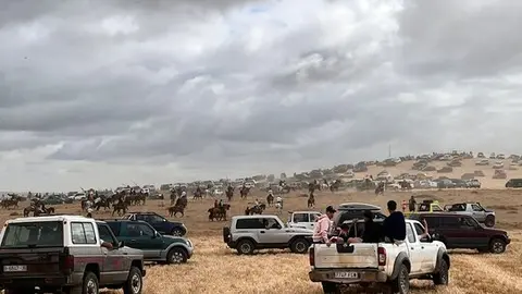 toro encierro Moraleja del Vino (15)