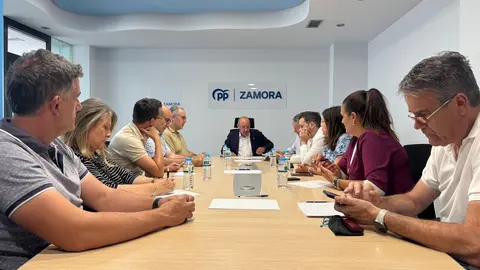 Comité de Dirección PP