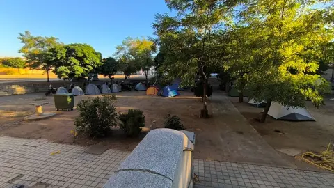 ruedas raras toro  (5)