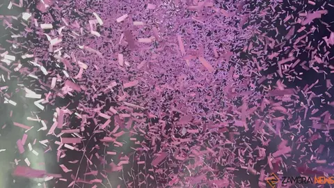 Renovation Pumarejo de Tera_3