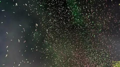 Renovation Pumarejo de Tera