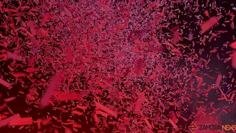 Renovation Pumarejo de Tera_3