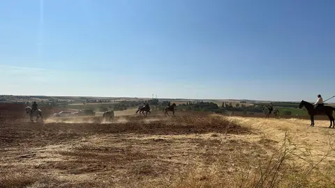 WhatsApp Image 2025-07-27 at 11.58.07 (2)