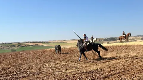 WhatsApp Image 2025-07-27 at 11.58.07 (1)