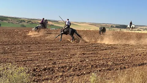 WhatsApp Image 2025-07-27 at 11.58.07