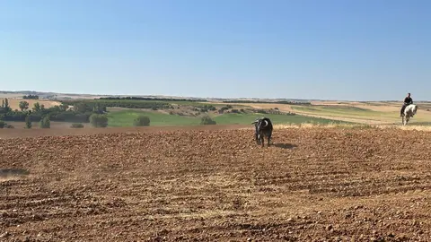 WhatsApp Image 2025-07-27 at 11.58.06 (3)