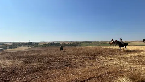 WhatsApp Image 2025-07-27 at 11.58.06 (2)