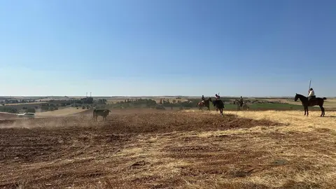 WhatsApp Image 2025-07-27 at 11.58.06 (1)