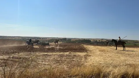 WhatsApp Image 2025-07-27 at 11.58.06