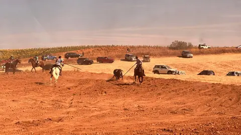 WhatsApp Image 2025-07-27 at 11.58.05 (3)