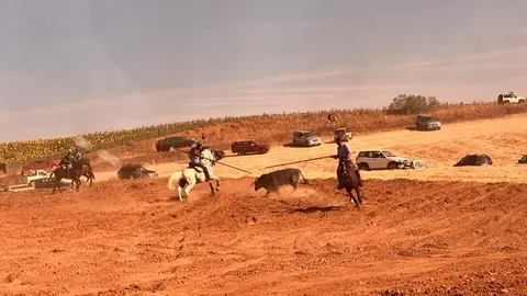 WhatsApp Image 2025-07-27 at 11.58.05 (2)