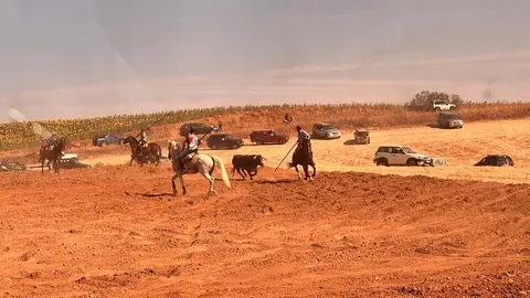 WhatsApp Image 2025-07-27 at 11.58.05